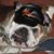 Huseyin Yem's profile image