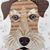Peter Masse's profile image