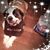 Michelle A Billich's profile image