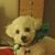 Kim Wise's profile image