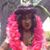 Hula Lula's profile image