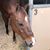 Renay Zeller Fortenberry's profile image