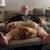 Bob Brunner's profile image