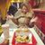 Stephanie Lottridge's profile image