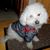 DeeDee Ploma's profile image