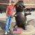 Jeff Rogers's profile image