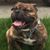 Bam Bam's profile image