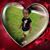 Leasi Maiava's profile image