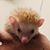 Branden Sellers's profile image