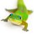 Brenda McComas's profile image