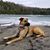 Longina Smolinski's profile image