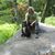 LeeAnn Stubler's profile image