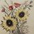 Susan Kovaleski Evans's profile image