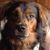 Robyn Ronen Friedman's profile image