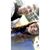 Ashley Greene's profile image