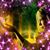 Tina Pierce Blanton's profile image