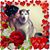Chris Puzey's profile image