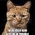 David Illingworth's profile image