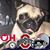 Chris Adams's profile image