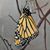 Patti White's profile image