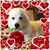 Amanda Jacobelli Siegel's profile image