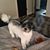 Jamie Caudill Odiorne's profile image