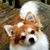 Steven Brown's profile image