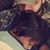 Trever Conway's profile image