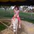 Halle Morrell's profile image