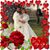 Nancy Bender-Ash's profile image