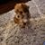 Tony Johnston's profile image