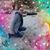 Nancy Torres's profile image
