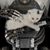Richard Conner's profile image