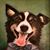 Arden Steffen's profile image