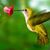 Sheila Primm's profile image