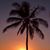 Debbie Basnett's profile image
