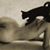 Magalie Pam Harzic's profile image