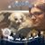 Joel O'Brien's profile image