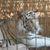 Mary Brakefield's profile image