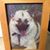 Rita Smith's profile image