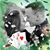 Margo Lewandos Kermon's profile image