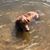 Chris Scheel's profile image