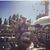 Esad Sipilovic's profile image