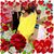 Allen Allen's profile image