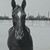 Jeanette Ginn's profile image