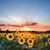 Bethanne Olczak's profile image