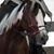 Linda Heagney's profile image