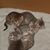 Karen Thibeault's profile image