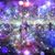 Itay Darvish's profile image