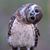 Renee Dolash-Goldsmith's profile image